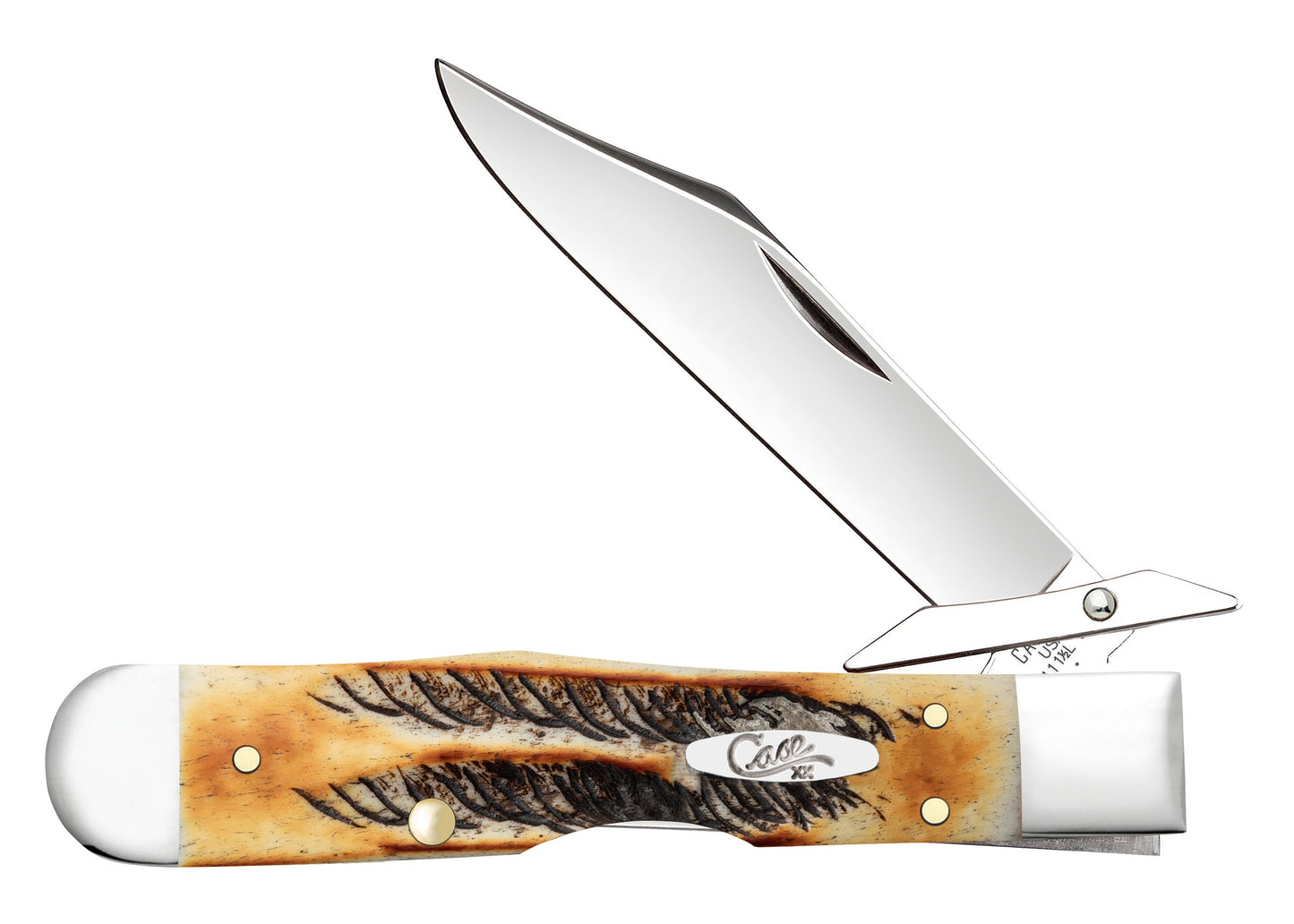 65349 6.5 BONESTAG CHEETAH CUB